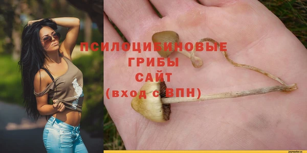 mdma Пролетарск