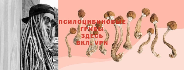 apvp Приозерск