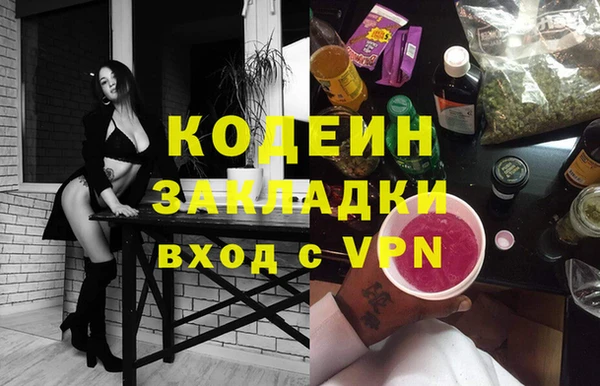 индика Баксан