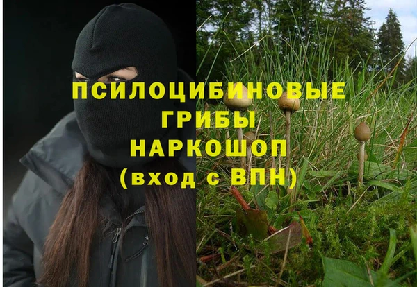 индика Баксан