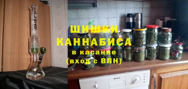 индика Баксан