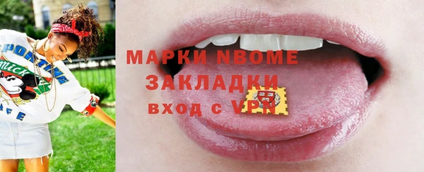 индика Баксан