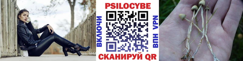 Псилоцибиновые грибы MAGIC MUSHROOMS  наркота  Сердобск 