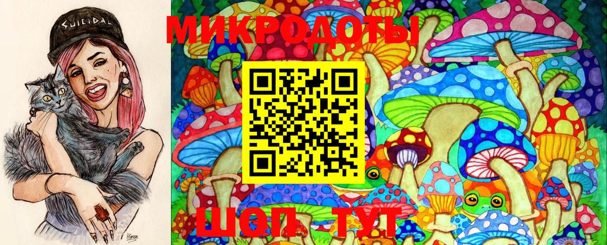 Галлюциногенные грибы Magic Shrooms  цена наркотик  Сердобск  Псилоцибиновые грибы Magic Shrooms  Вход с VPN 